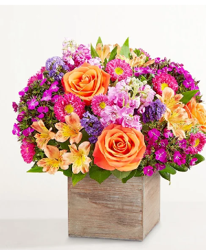 Splendid Beauty™ Bouquet 