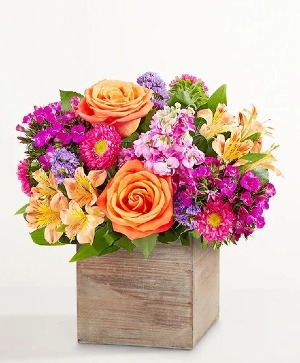 Splendid Beauty  wooden box