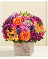 Splendid Beauty Keepsake Box