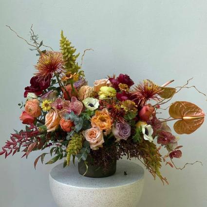 Splendid Fall  