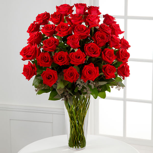 Splendid LOVE- Three Dozen  BEST SELLER