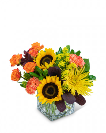 Splendid Sun Flower Arrangement