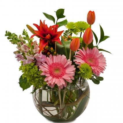 Splendor Surprise Arrangement