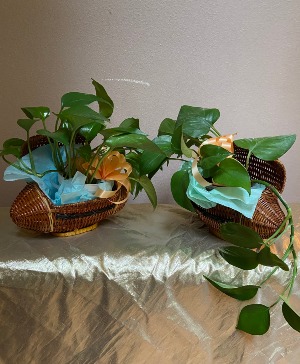 THE 12 FAN football basket with 4 in plant
