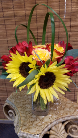 Spotlight on Color 