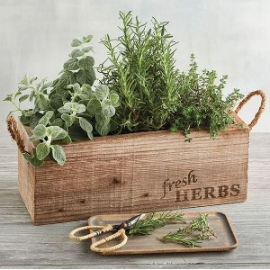 Sprigs Fresh Herb Garden 
