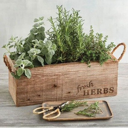 Sprigs Fresh Herb Garden 