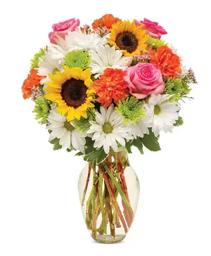 Spring - 00123 