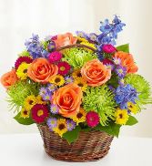 Colorful Basket 