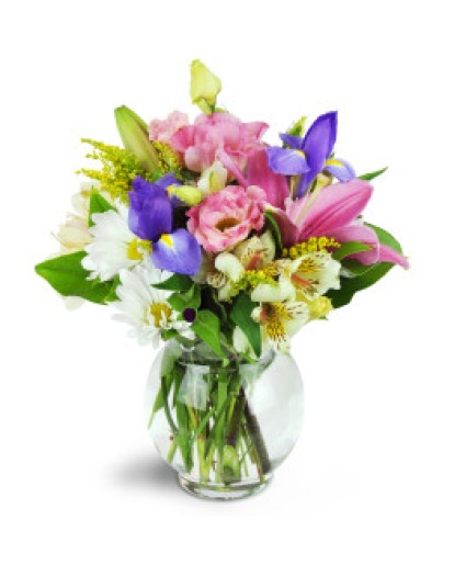 Spring Beauty  