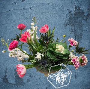 Spring Bee Tulip Designers Choice