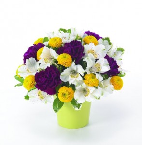 Spring Blast Just Because