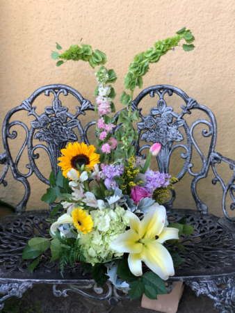 Spring Blooms  