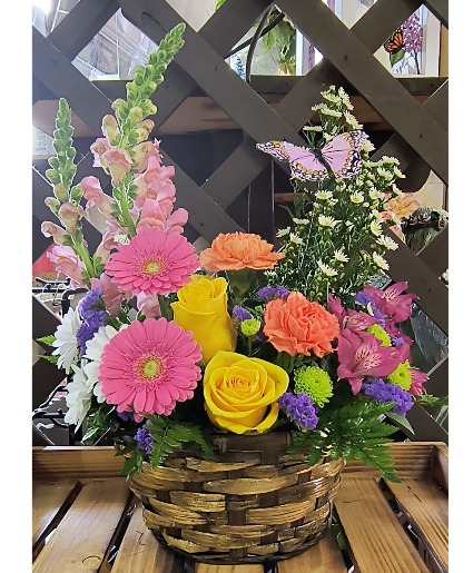 Spring Blooms 