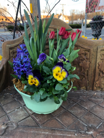 Spring blooms from Roma Florist 