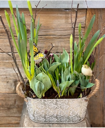 Spring Blossom 12 " Garden Planter  in Toronto, ON | PERCY WATERS FLORIST