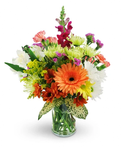 Spring Bouquet  Fresh flowers 