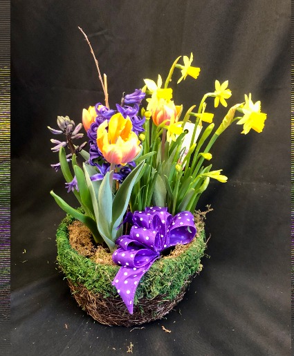 SPRING BULB GARDEN 