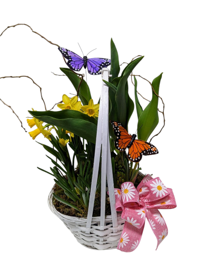 Spring Bulb Garden 