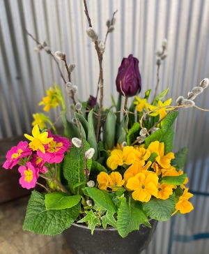 Spring Bulb Garden Bulb Garden