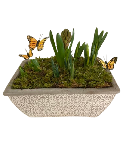 Spring Bulb Garden Dish Garden