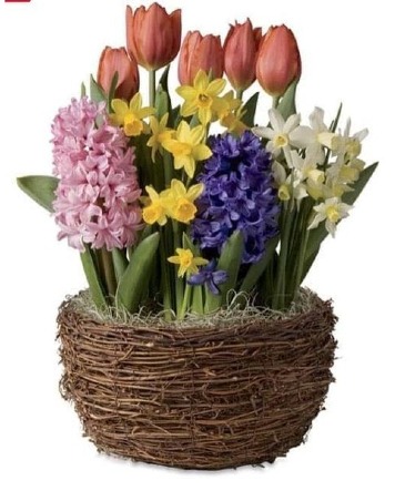 Love Blooms bulb garden in Osage, IA | Osage Floral & Gifts