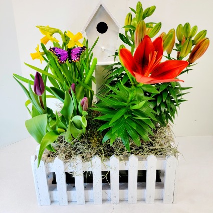 Spring Bulbs Picket Fence Planter 