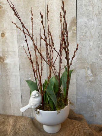 Spring bulbs with pussy willow in planter