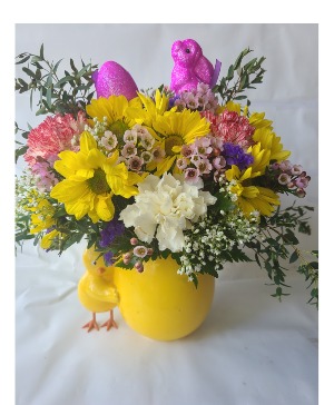 Spring  Chick Designer mix