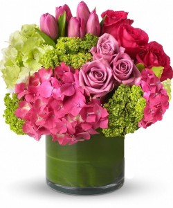 Spring Delight 