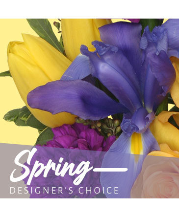 Spring Designer's Choice in Flagstaff, AZ | Robynn's Nest Flowers & Gifts