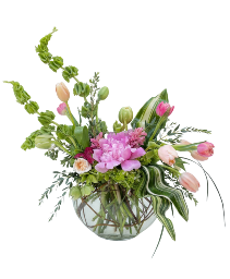 Spring Dreams 