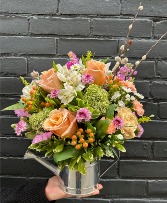 Spring Equinox 