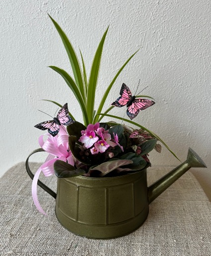Spring European Dish Garden 