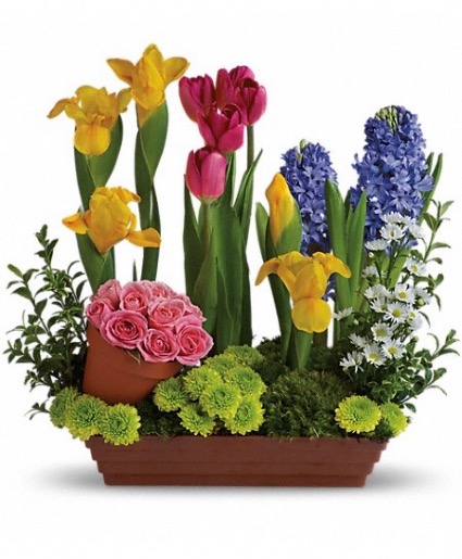 Spring Favorites 