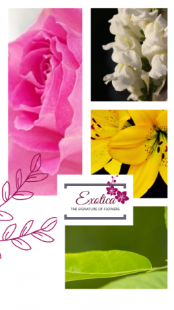 Spring Fever Arrangement