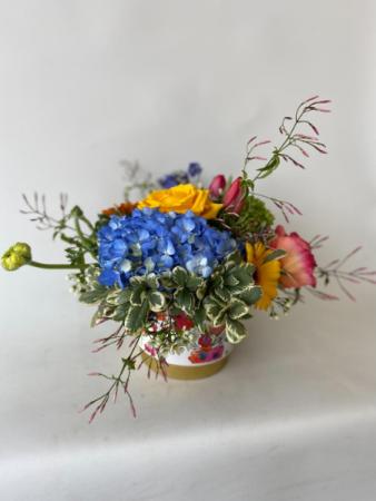 Spring Fling Custom, Premium, Luxury