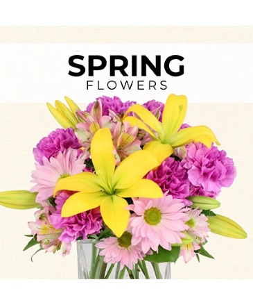 Spring Florist’s Pick Designer's Choice in Marmaduke, AR | Choco Taco Florist ***TEST SHOP****
