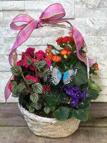Spring Has Sprung Planter