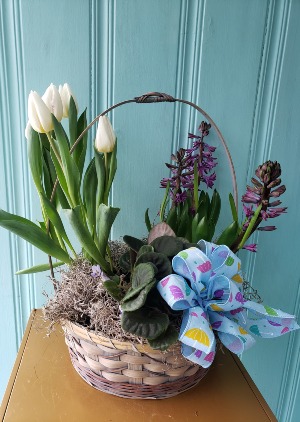 SPRING GARDEN BLOOMING PLANT