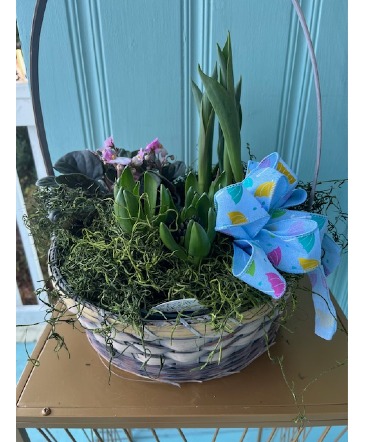 SPRING GARDEN BLOOMING PLANT in Hampstead, NC | Surf City Florist