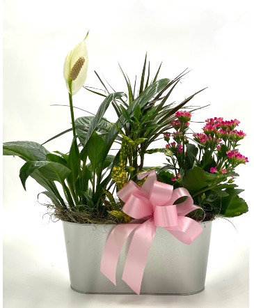 Spring Garden European Garden Basket in Lubbock, TX | TOWN SOUTH FLORAL