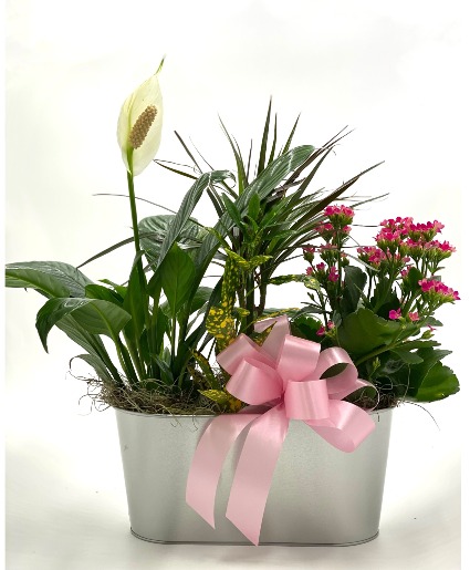 Spring Garden European Garden Basket