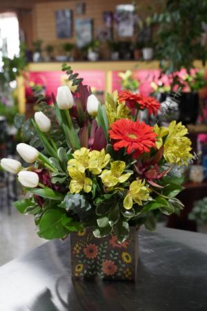 Spring Garden  Locally Grown Tulips 