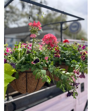 Spring Hanging Basket hanging basket