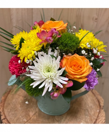 Spring has Sprung! 