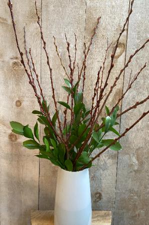 Spring in your step Pussy Willow stems in a vase 