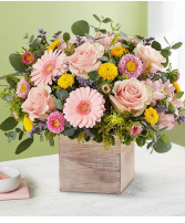 Spring Into Love 