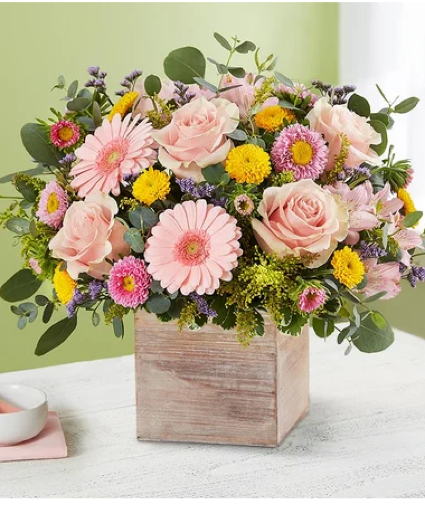 Spring Into Love 