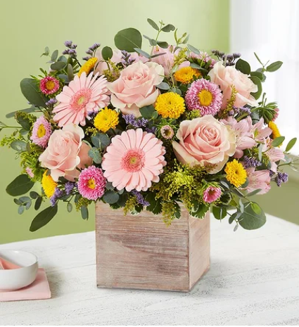 Spring Into Love 